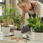 T - Type Bamboo Plant Label Stakes - Napa Valley Wildflower Co.