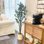 Tall Lifelike Potted Tree - Napa Valley Wildflower Co.