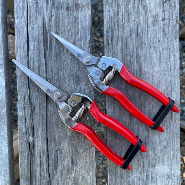 The Garden Pruner Bundle Gift Set - Napa Valley Wildflower Co.