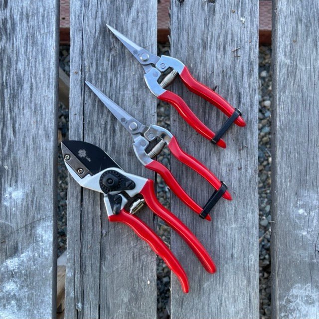 The Garden Pruner Bundle Gift Set - Napa Valley Wildflower Co.