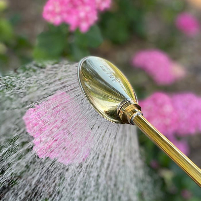 The Haws Brass Garden Spray Lance - Napa Valley Wildflower Co.