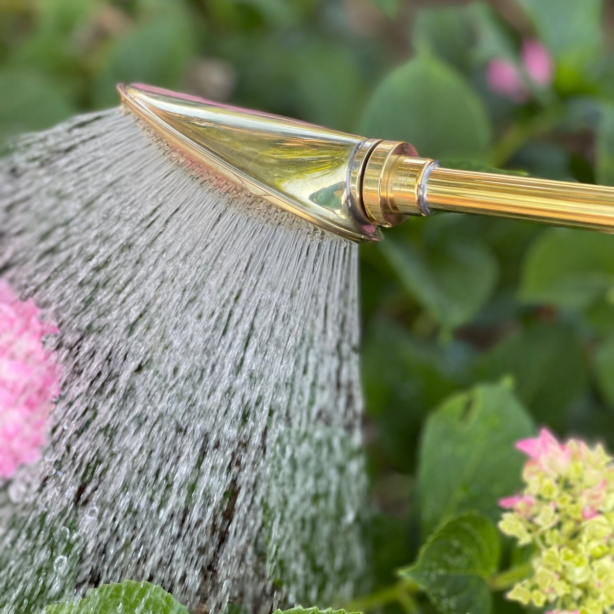 The Haws Brass Garden Spray Lance - Napa Valley Wildflower Co.