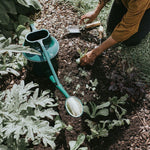 The Haws Cradley Cascader Watering Can - Napa Valley Wildflower Co.