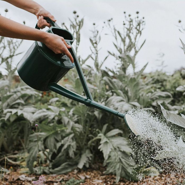 The Haws Cradley Cascader Watering Can - Napa Valley Wildflower Co.