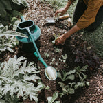 The Haws Cradley Deluxe Watering Can - Napa Valley Wildflower Co.