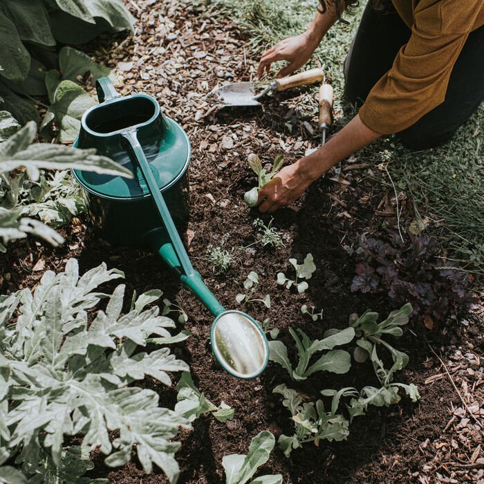 The Haws Cradley Deluxe Watering Can - Napa Valley Wildflower Co.