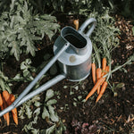 The Warley Fall - Two Gallon HDG in Galvanized - Napa Valley Wildflower Co.