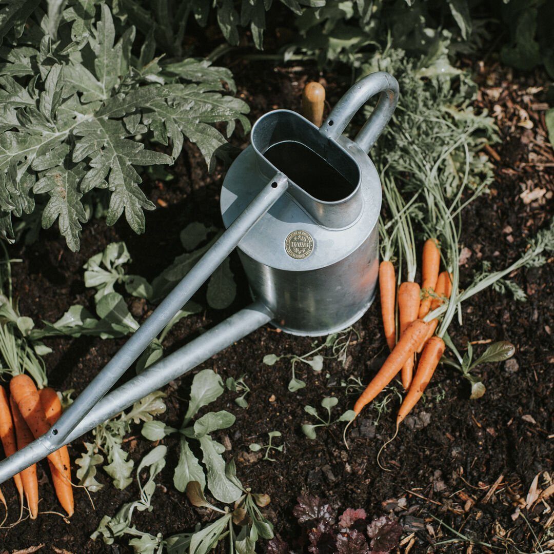 The Warley Fall - Two Gallon HDG in Galvanized - Napa Valley Wildflower Co.