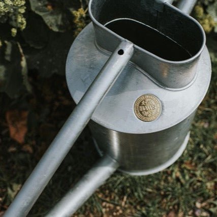 The Warley Fall - Two Gallon HDG in Galvanized - Napa Valley Wildflower Co.