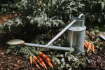 The Warley Fall - Two Gallon HDG in Galvanized - Napa Valley Wildflower Co.