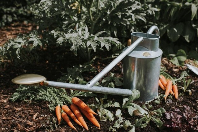 The Warley Fall - Two Gallon HDG in Galvanized - Napa Valley Wildflower Co.