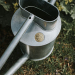 The Warley Fall - Two Gallon HDG in Galvanized - Napa Valley Wildflower Co.