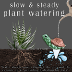 Turtle Ceramic Plant Watering Spike - Napa Valley Wildflower Co.