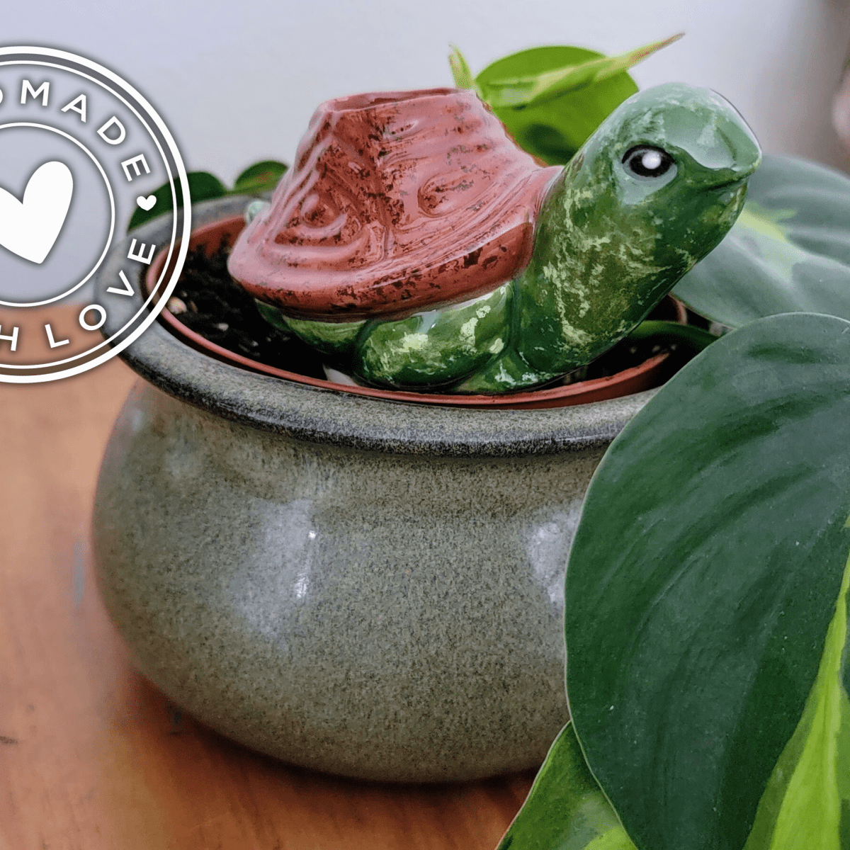 Turtle Ceramic Plant Watering Spike - Napa Valley Wildflower Co.