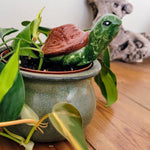 Turtle Ceramic Plant Watering Spike - Napa Valley Wildflower Co.