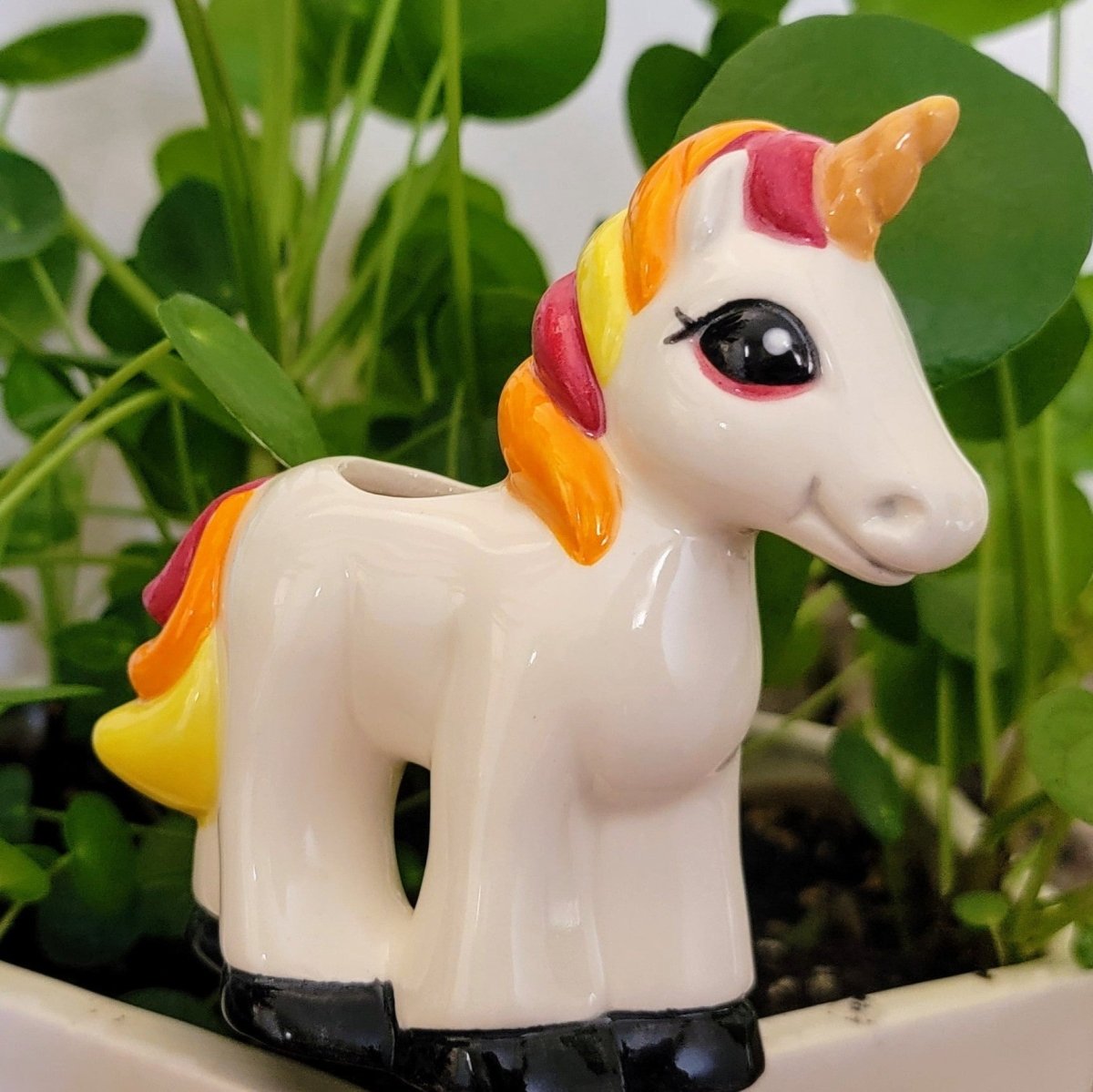 Unicorn Ceramic Watering Spike - Napa Valley Wildflower Co.