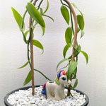 Unicorn Ceramic Watering Spike - Napa Valley Wildflower Co.