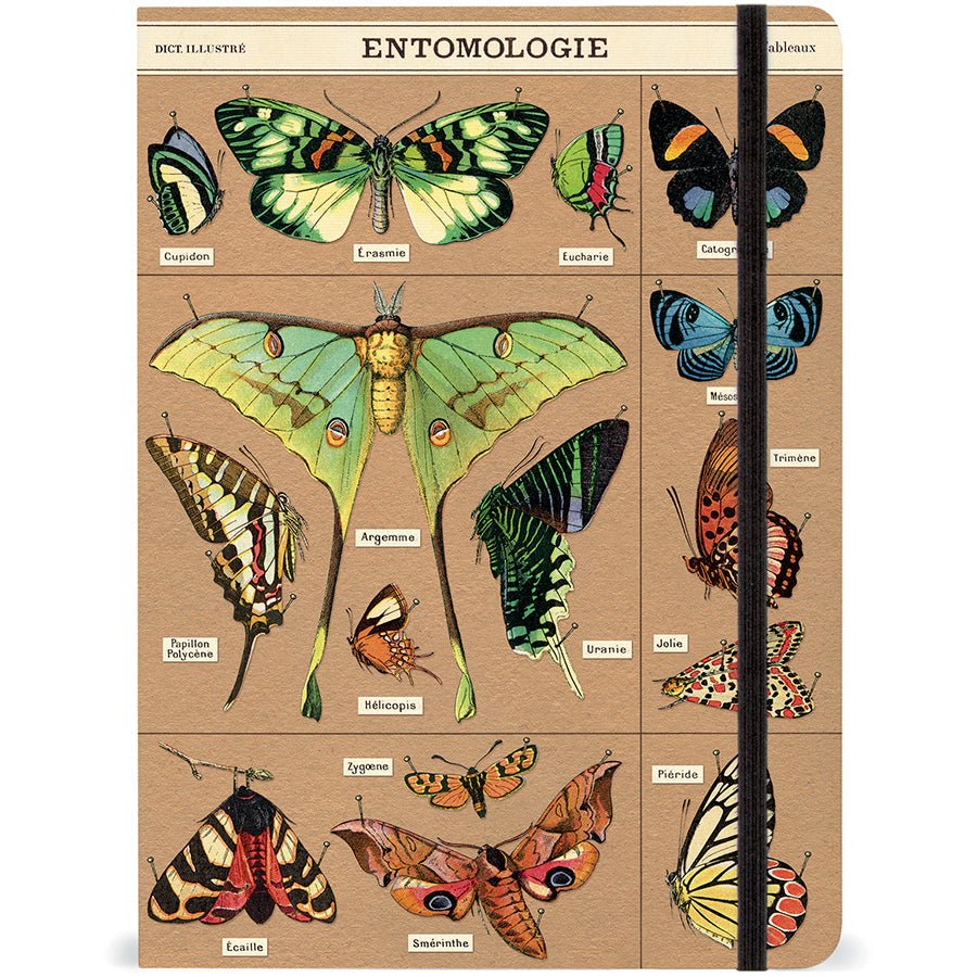 Vintage - Inspired Entomology Butterfly Notebook Journal with Elastic Closure - Napa Valley Wildflower Co.