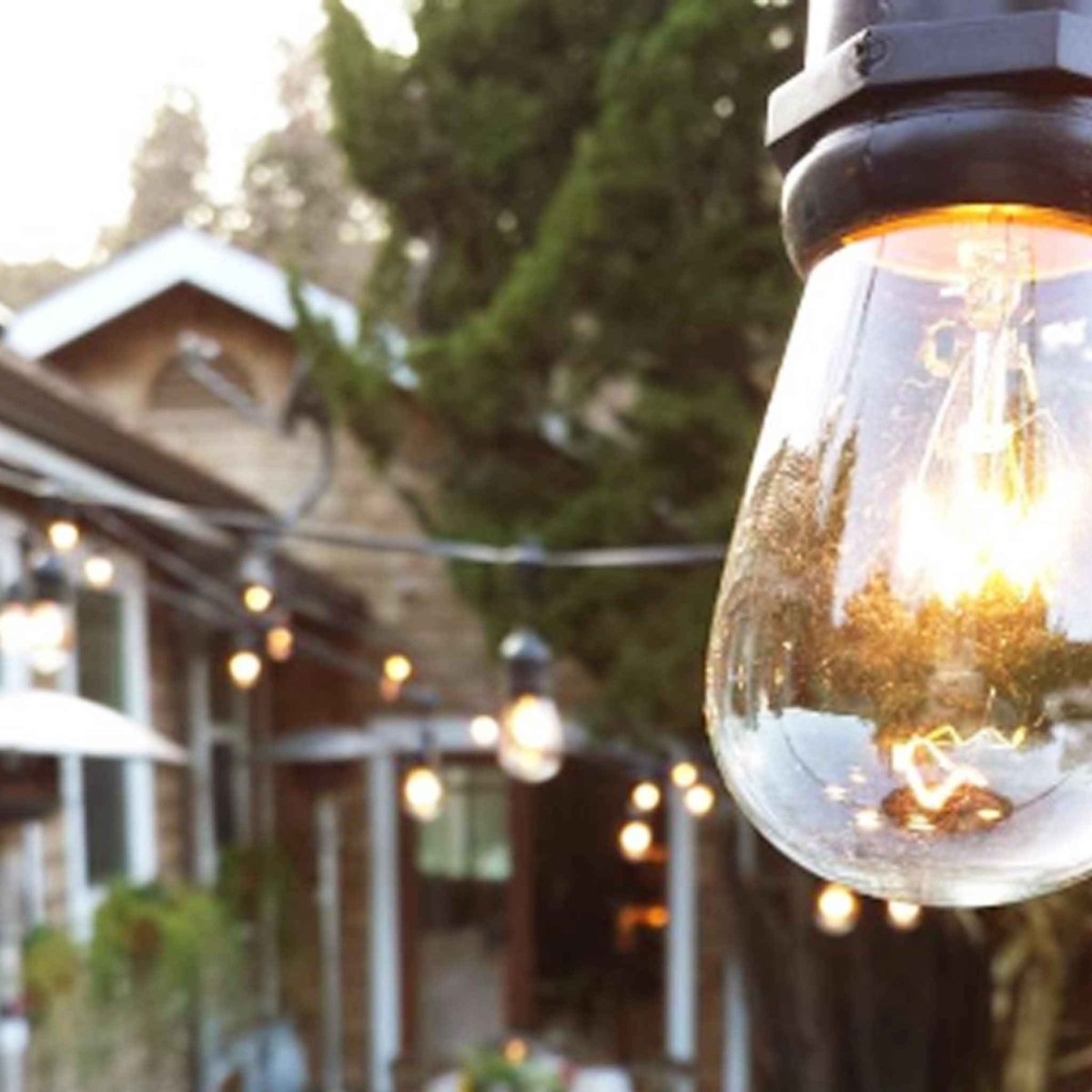 Vintage Outdoor Patio String Lights with Edison Bulbs – Commercial Grade Weatherproof S14 Lighting - Napa Valley Wildflower Co.