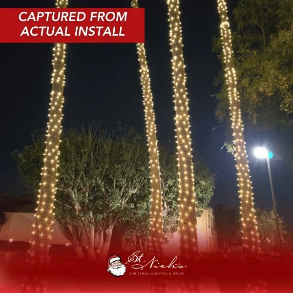 Warm White Twinkle LED Mini Lights | 5MM Commercial Grade - Napa Valley Wildflower Co.