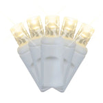 Warm White Twinkle LED Mini Lights | 5MM Commercial Grade - Napa Valley Wildflower Co.