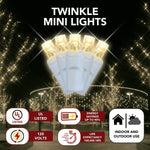 Warm White Twinkle LED Mini Lights | 5MM Commercial Grade - Napa Valley Wildflower Co.