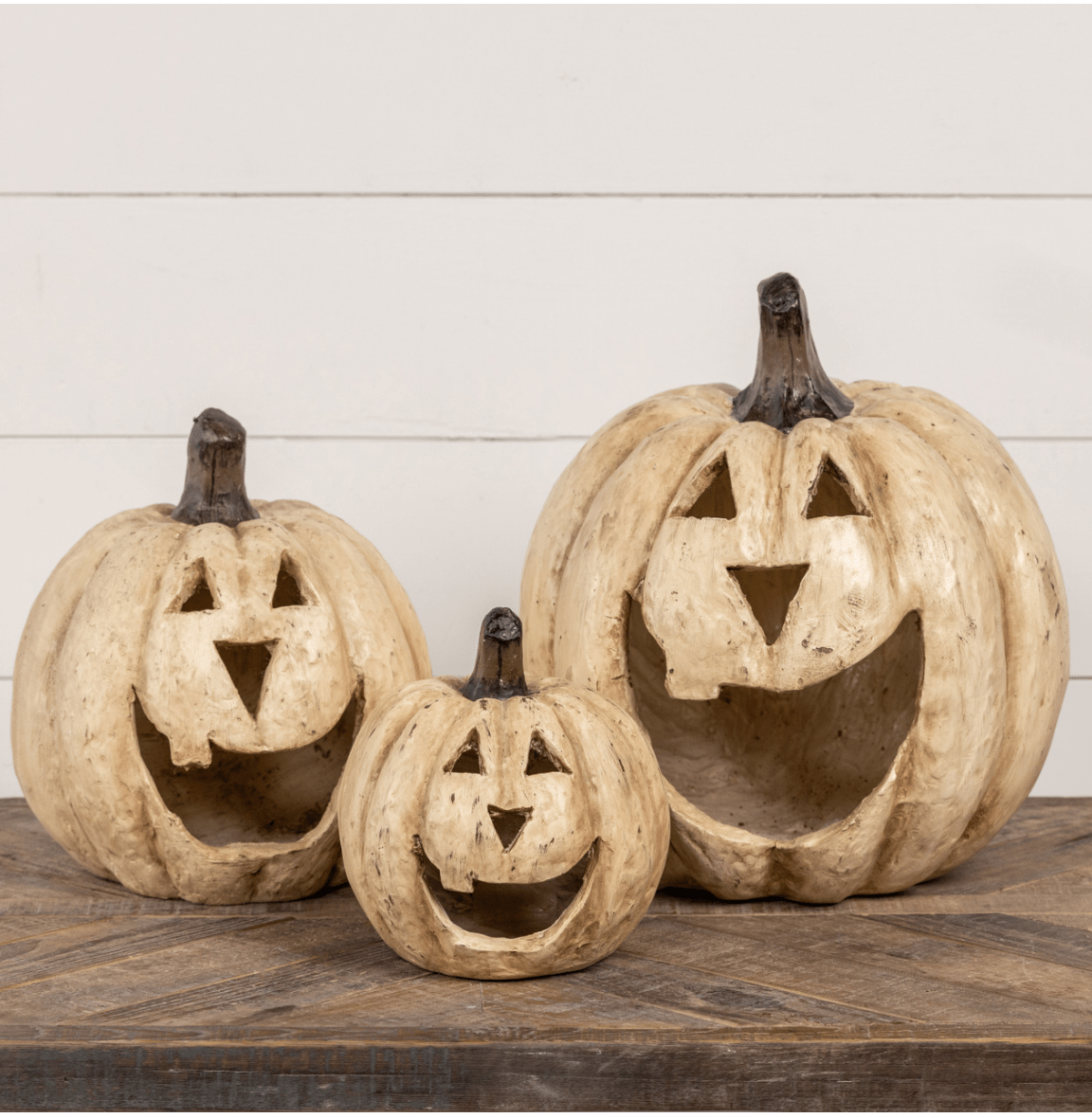 White Big Mouth Pumpkins - Napa Valley Wildflower Co.