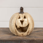 White Big Mouth Pumpkins - Napa Valley Wildflower Co.