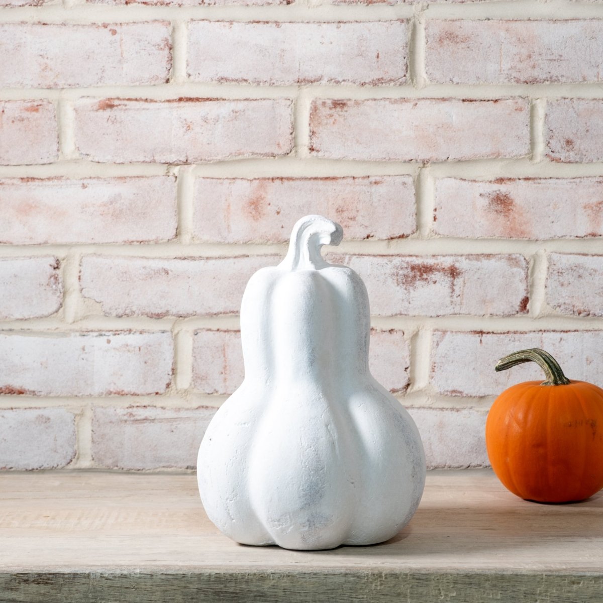 White Terracotta Gourd - Napa Valley Wildflower Co.