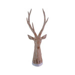 🦌 Whitewashed Resin Deer Head with Etched Tree Design🌲 - Napa Valley Wildflower Co.