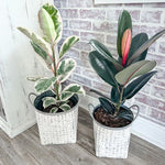 Whitewashed Woven Metal Baskets, Set of 2 - Napa Valley Wildflower Co.