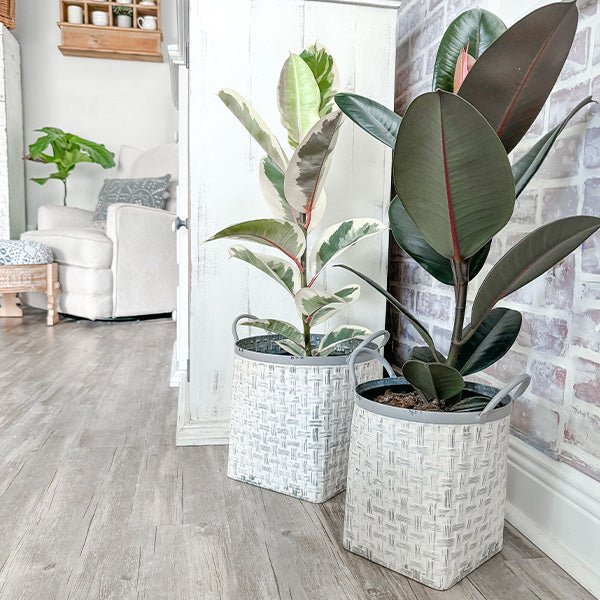 Whitewashed Woven Metal Baskets, Set of 2 - Napa Valley Wildflower Co.