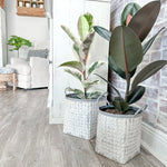 Whitewashed Woven Metal Baskets, Set of 2 - Napa Valley Wildflower Co.