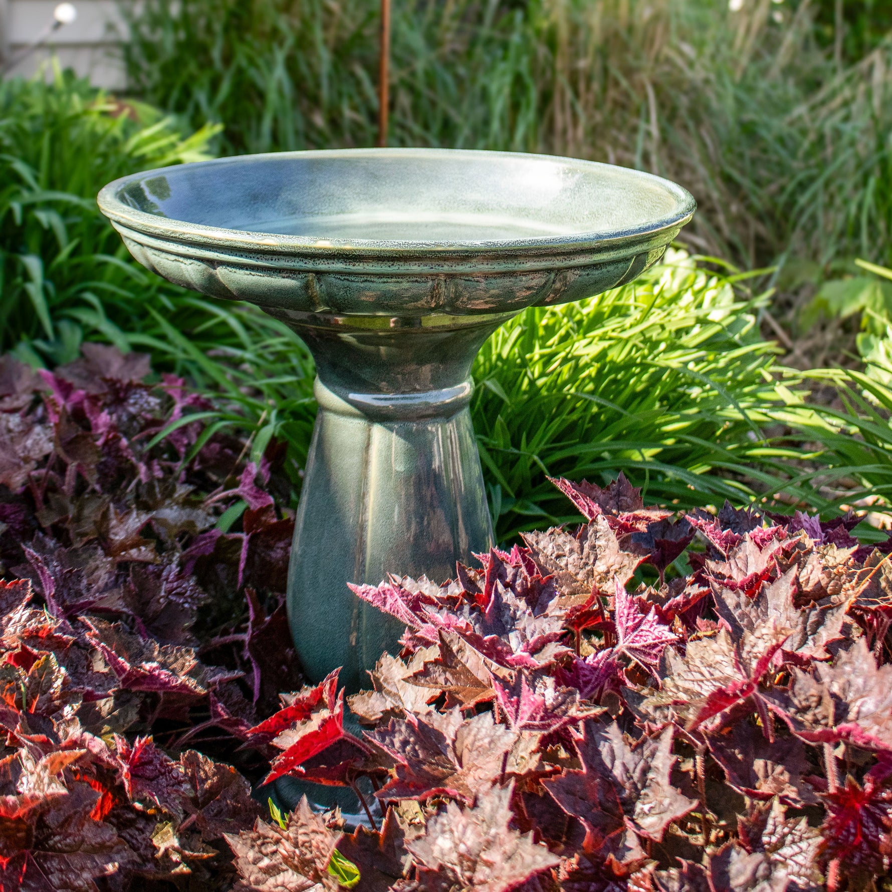 Decorative bird bath surrounded by green and purple foliage