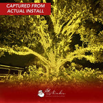 Yellow LED Mini Lights (5MM) - 25FT Green Wire - Napa Valley Wildflower Co.