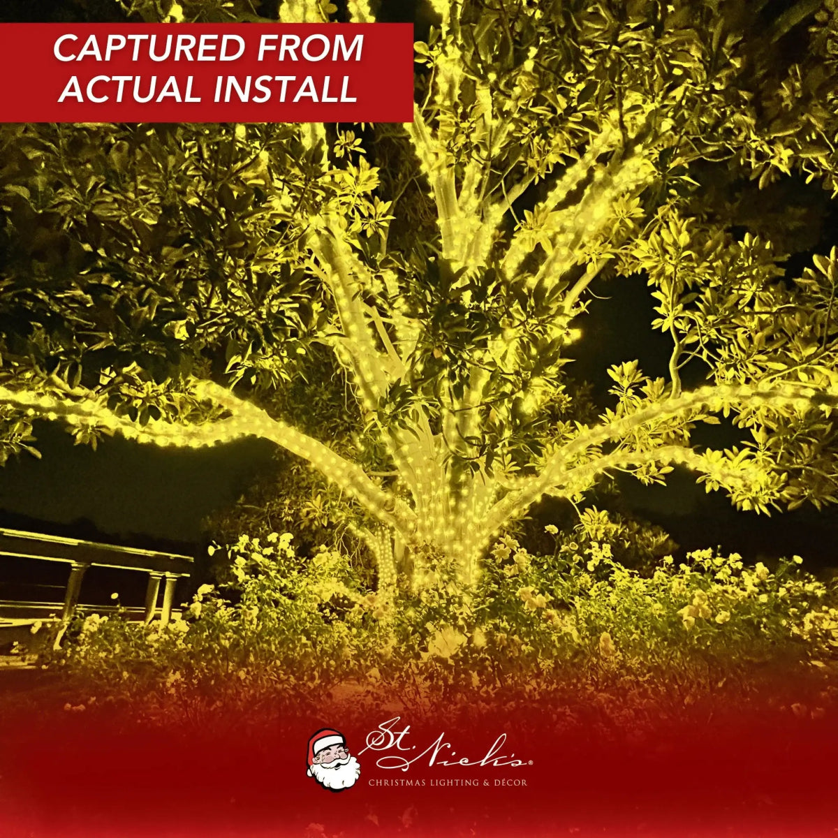 Yellow LED Mini Lights (5MM) - 25FT Green Wire - Napa Valley Wildflower Co.