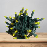 Yellow LED Mini Lights (5MM) - 25FT Green Wire - Napa Valley Wildflower Co.